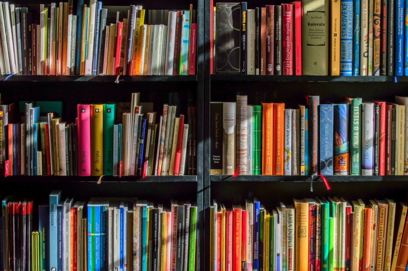 vitrine-ST JEANNET-min_books_bookstore_book_reading_shop_writer_sale_books_read-822866